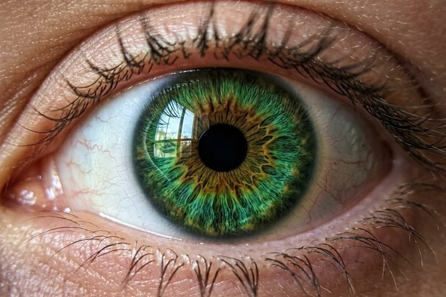 Close-up_human_eye_iris_202607090153